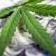 Marijuana stocks fall in worst-ever day for the sector